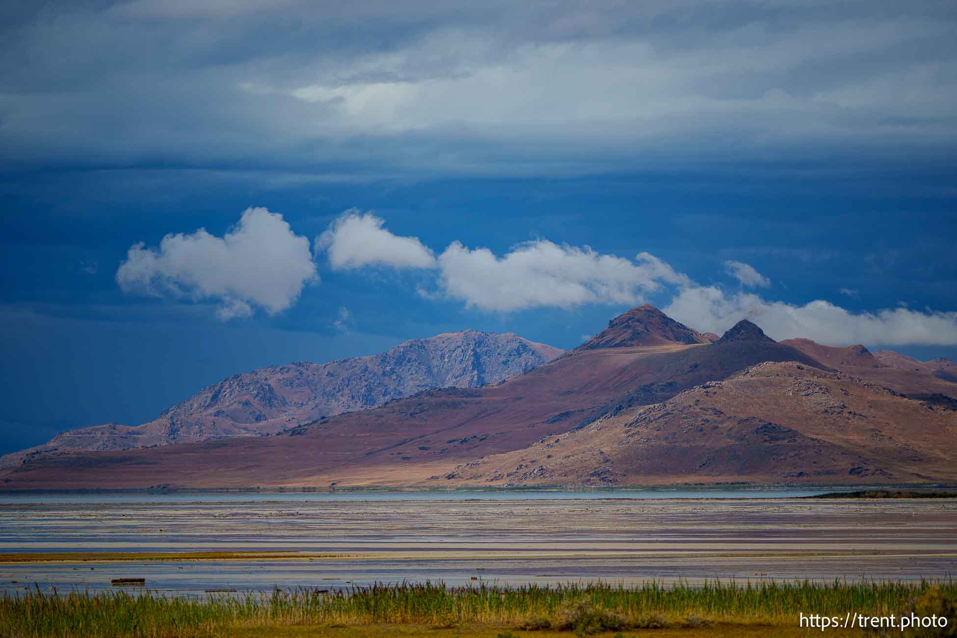 Antelope Island, Saturday August 17, 2024.