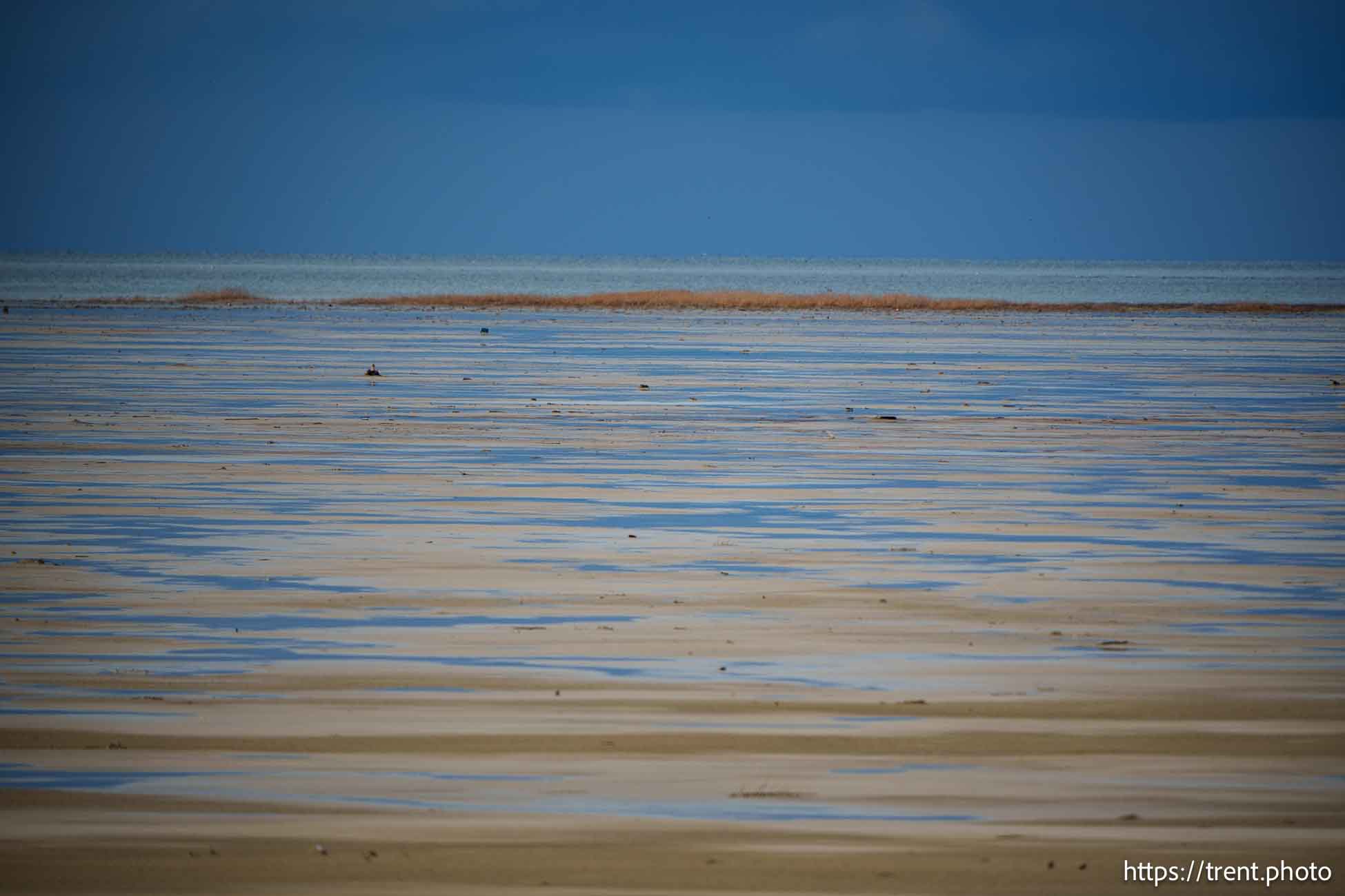 The shore of the Great Salt Lake after a thunderstorm, Saturday August 17, 2024.