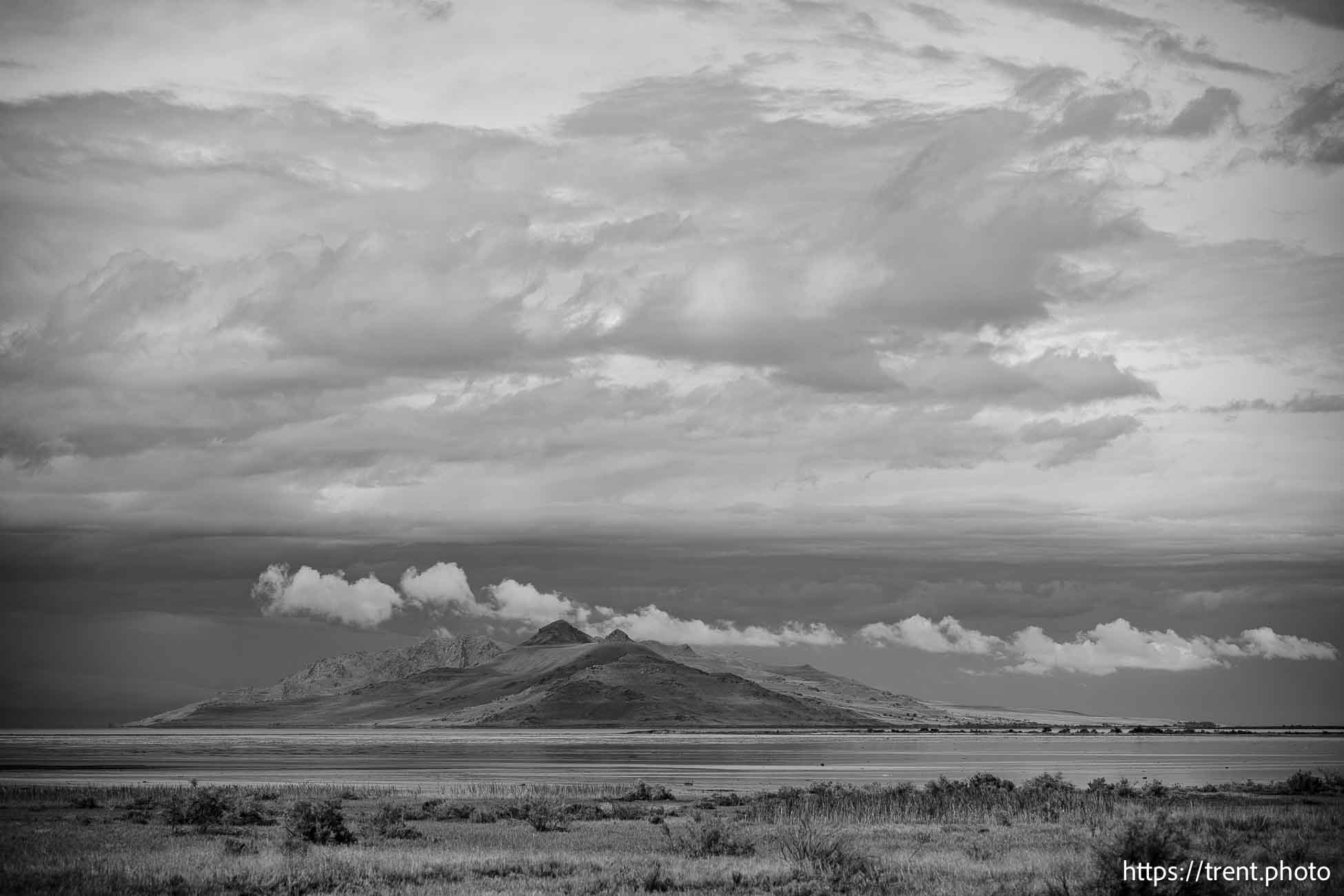 Antelope Island
 on Saturday, Aug. 17, 2024.