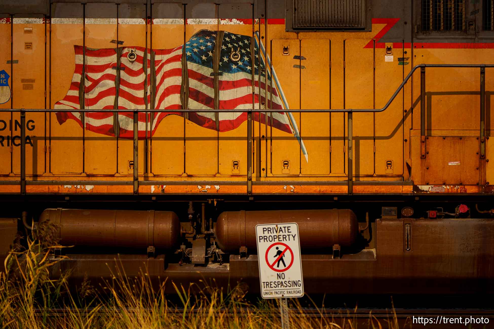 Train graffiti, Wednesday September 4, 2024.