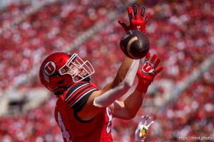 (Trent Nelson  |  The Salt Lake Tribune) Utah Utes tight end Caleb Lohner (84) reaches for a ball in the end zone as the Utah Utes host the Baylor Bears, NCAA football in Salt Lake City on Saturday, Sept. 7, 2024.