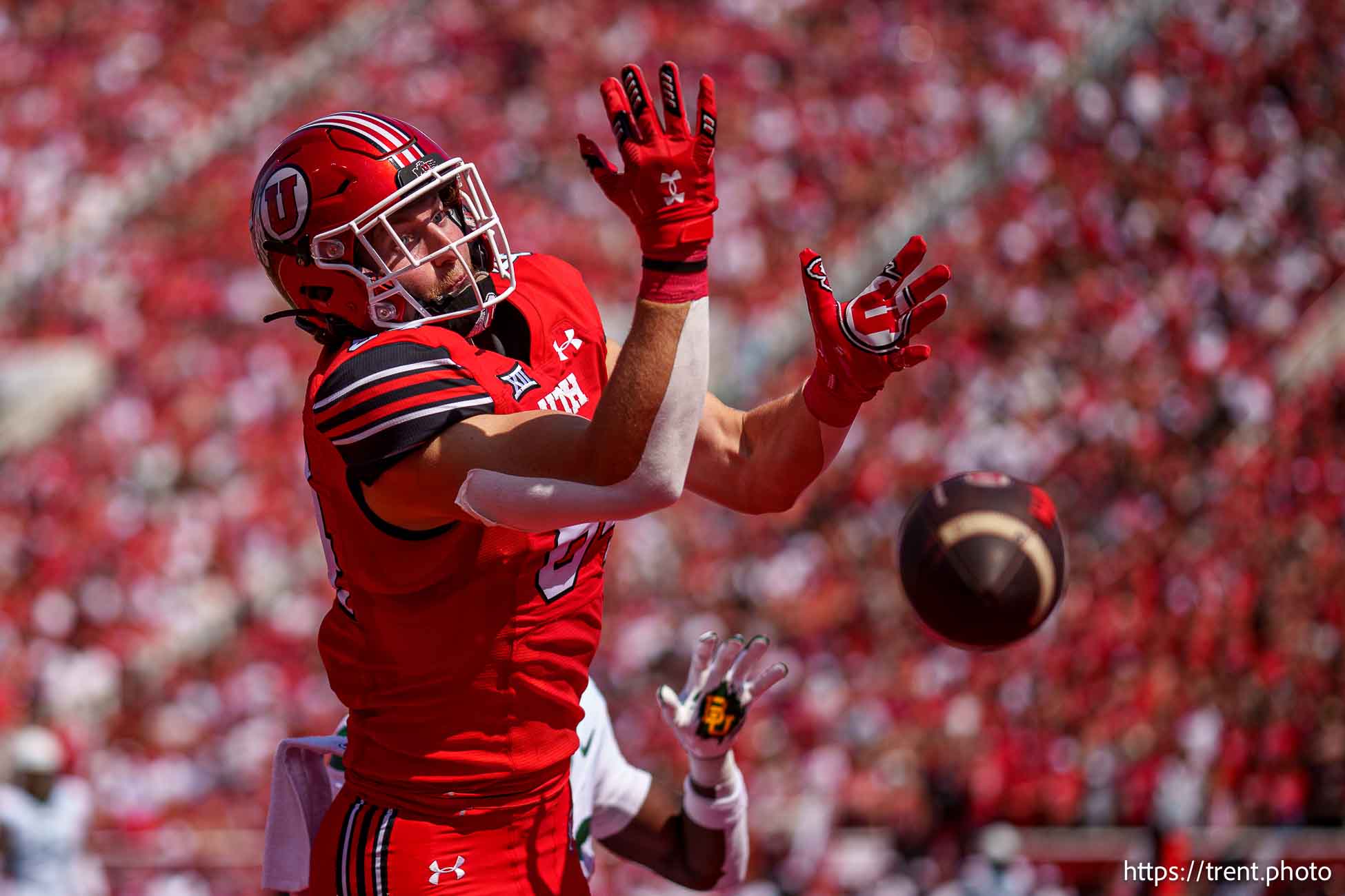 (Trent Nelson  |  The Salt Lake Tribune) Utah Utes tight end Caleb Lohner (84) reaches for a ball in the end zone as the Utah Utes host the Baylor Bears, NCAA football in Salt Lake City on Saturday, Sept. 7, 2024.