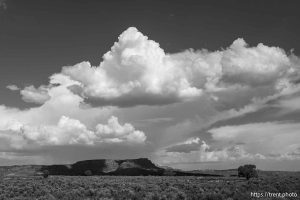 driving south on Highway 89, on Tuesday, Sept. 10, 2024.