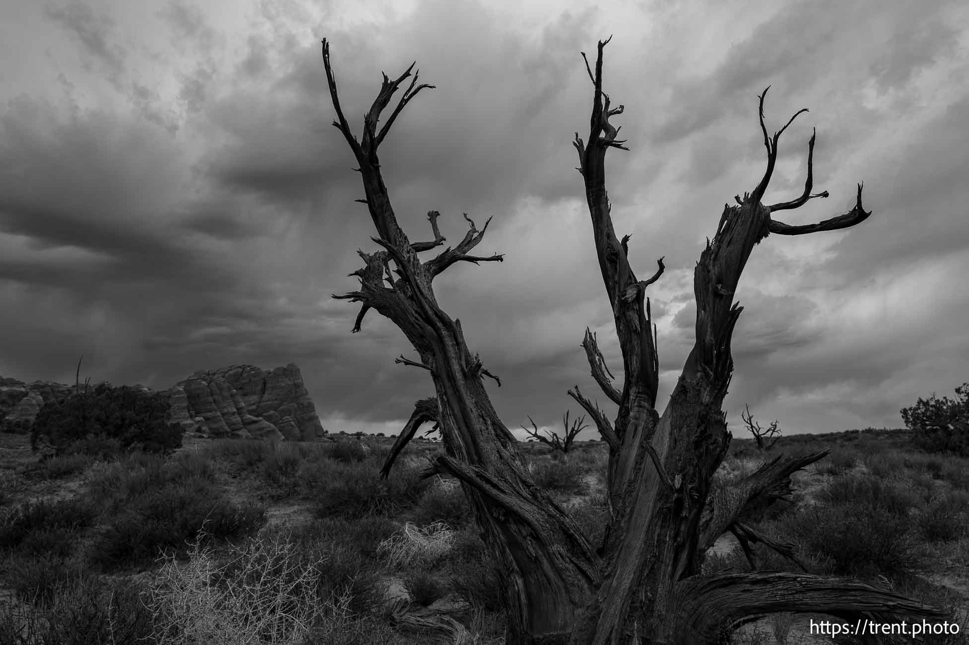 Arches National Park on Saturday, Sept. 21, 2024.