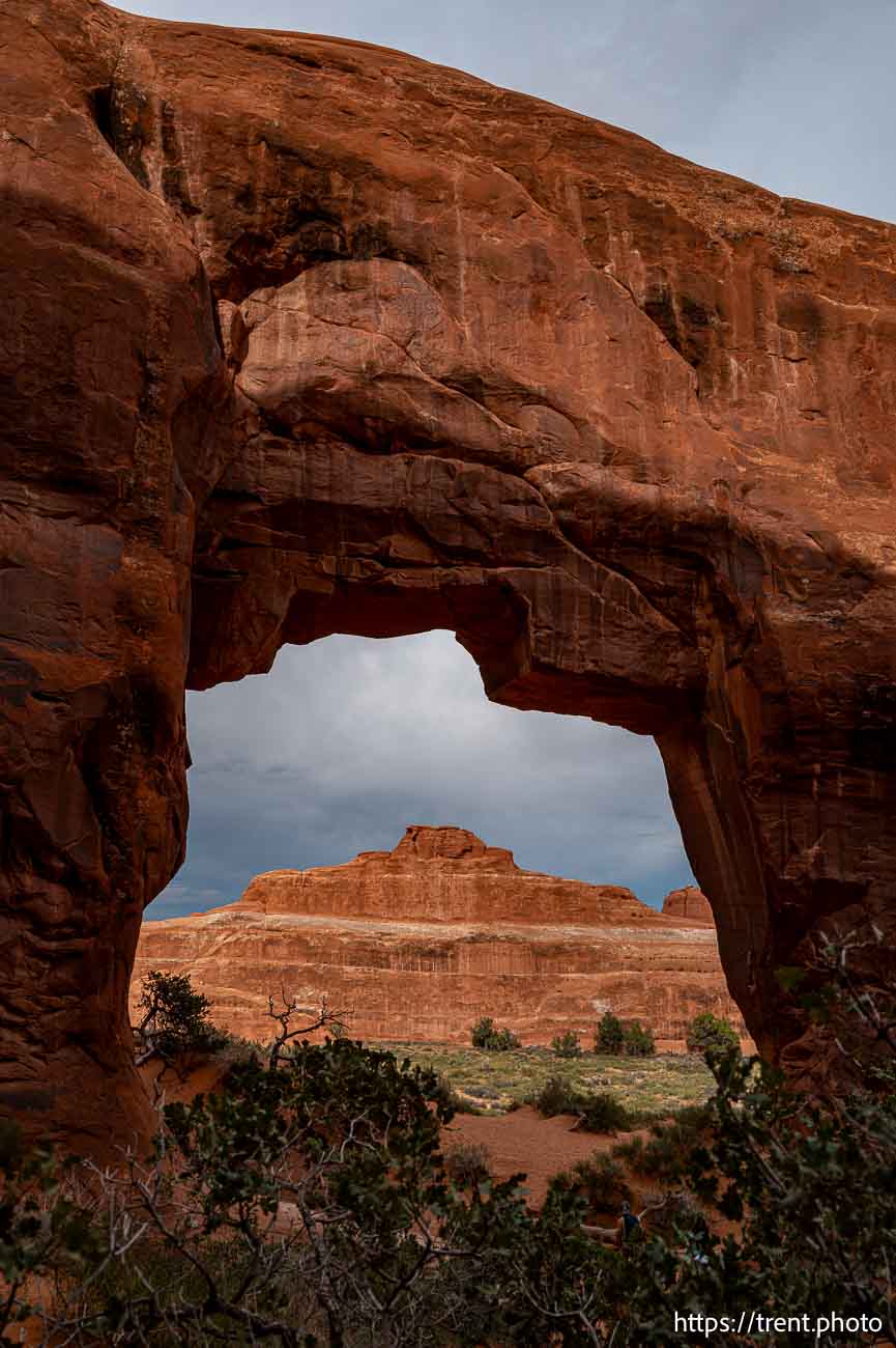 pine tree arch, Arches National Park on Saturday, Sept. 21, 2024.