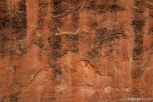 devil's garden, Arches National Park on Saturday, Sept. 21, 2024.