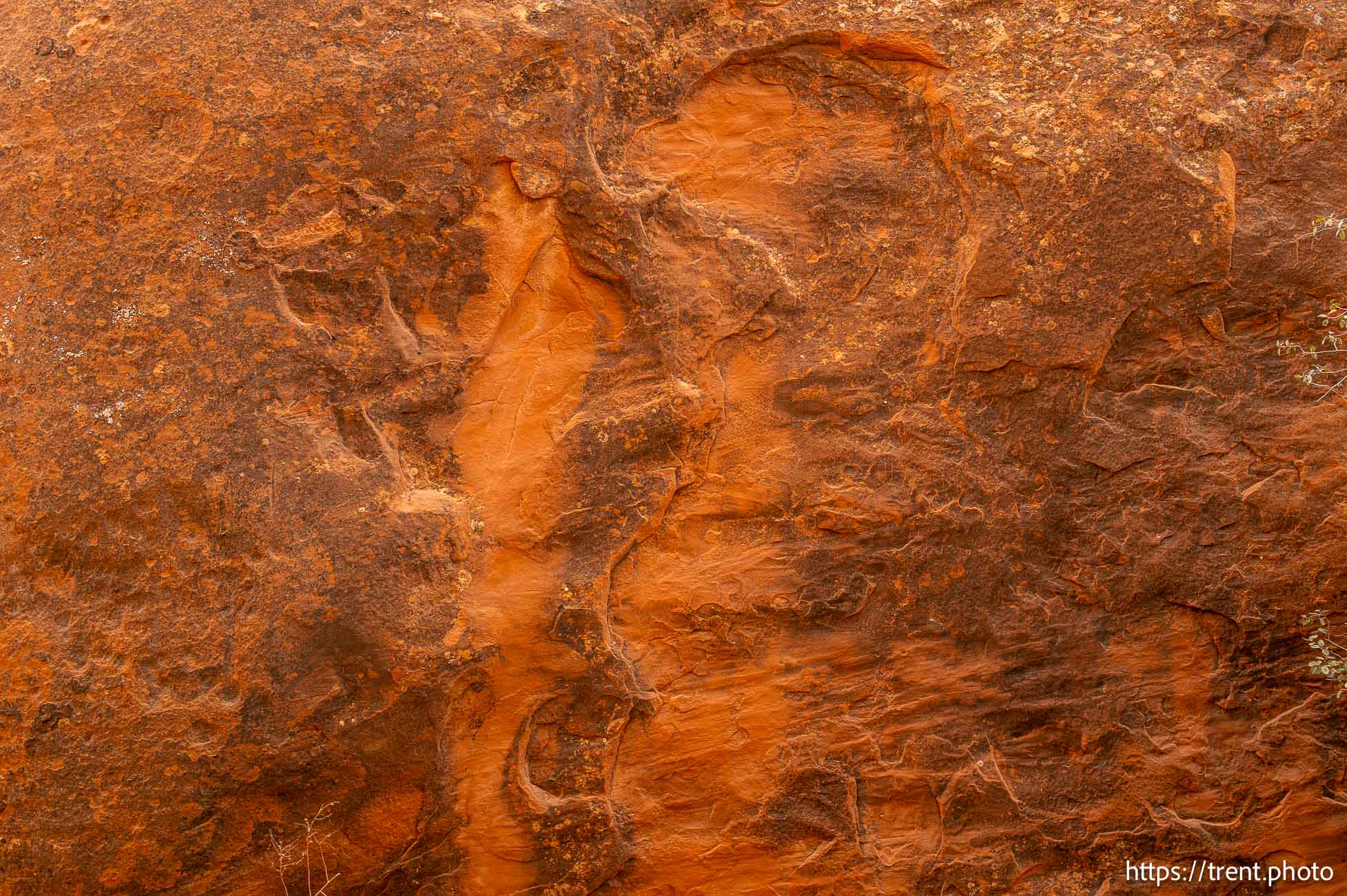 devil's garden, Arches National Park on Saturday, Sept. 21, 2024.