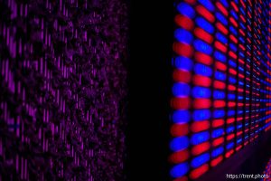 (Trent Nelson  |  The Salt Lake Tribune) Greens growing under LED light in the Grow Tech Gardens building at Thanksgiving Point's Curiosity Farms on Thursday, Sept. 26, 2024.