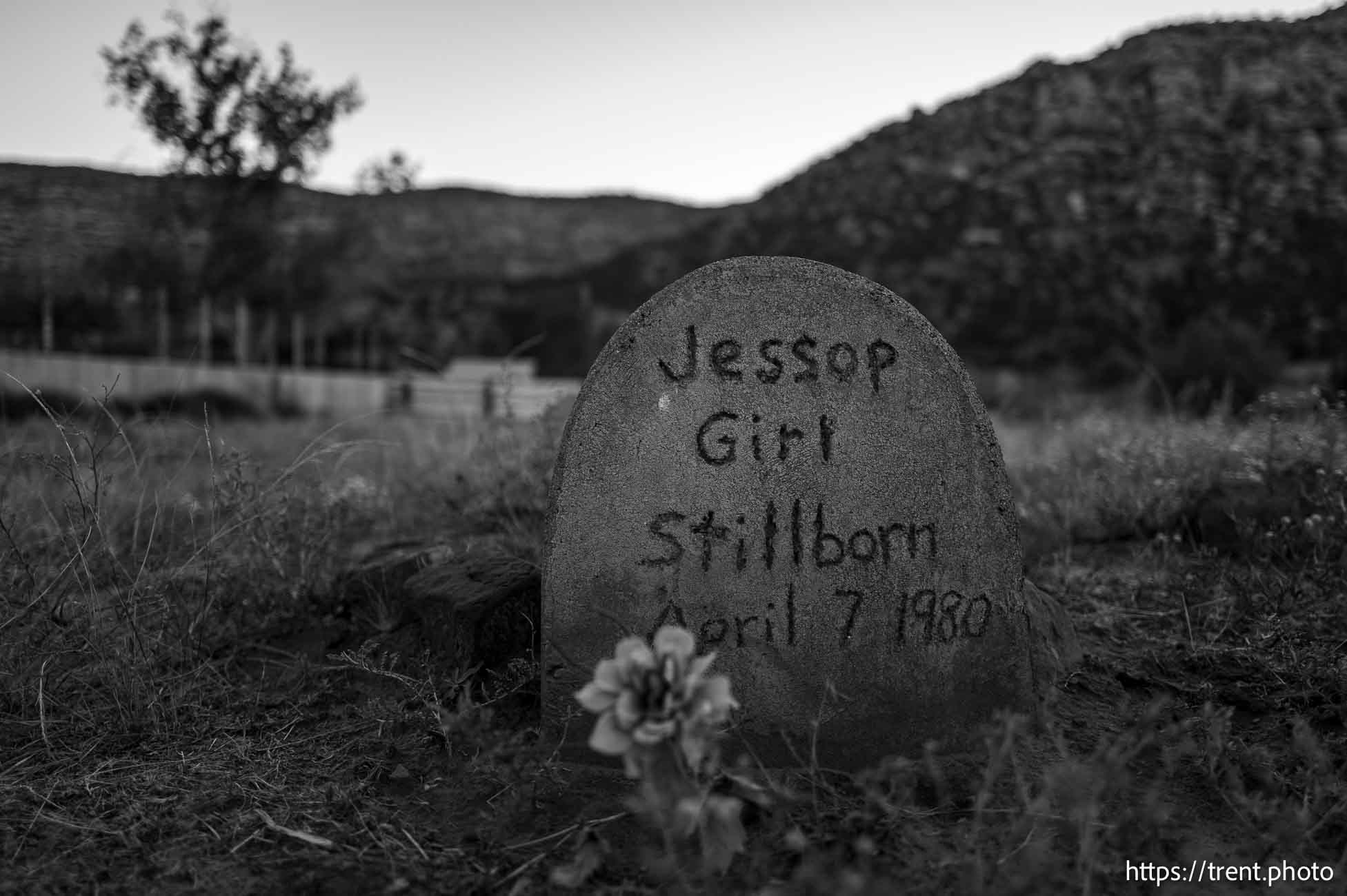 (Trent Nelson  |  The Salt Lake Tribune) Children's Cemetery, Hildale on Wednesday, Oct. 23, 2024.