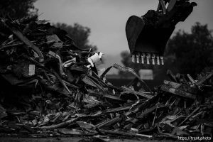 State Street demolition, Salt Lake City on Tuesday, Oct. 29, 2024.