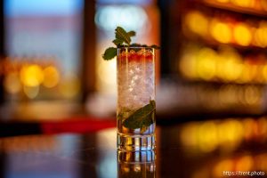 (Trent Nelson  |  The Salt Lake Tribune) The Garden Boxcar mocktail at No. 119, a bar in the Asher Adams Hotel in Salt Lake City on Thursday, Nov. 14, 2024.