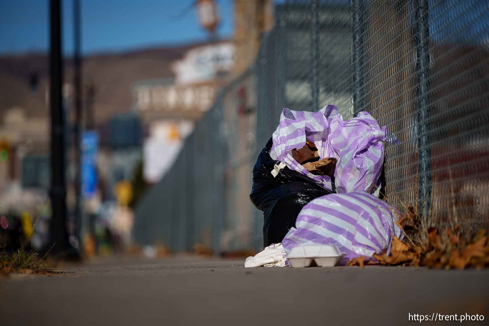 State Street, Salt Lake City on Tuesday, Dec. 17, 2024.