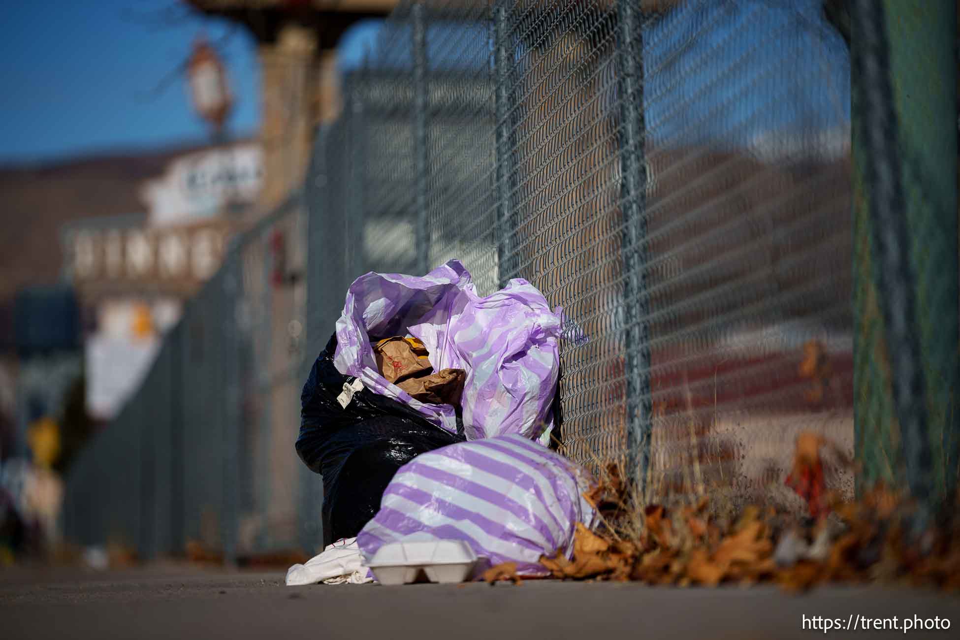 State Street, Salt Lake City on Tuesday, Dec. 17, 2024.