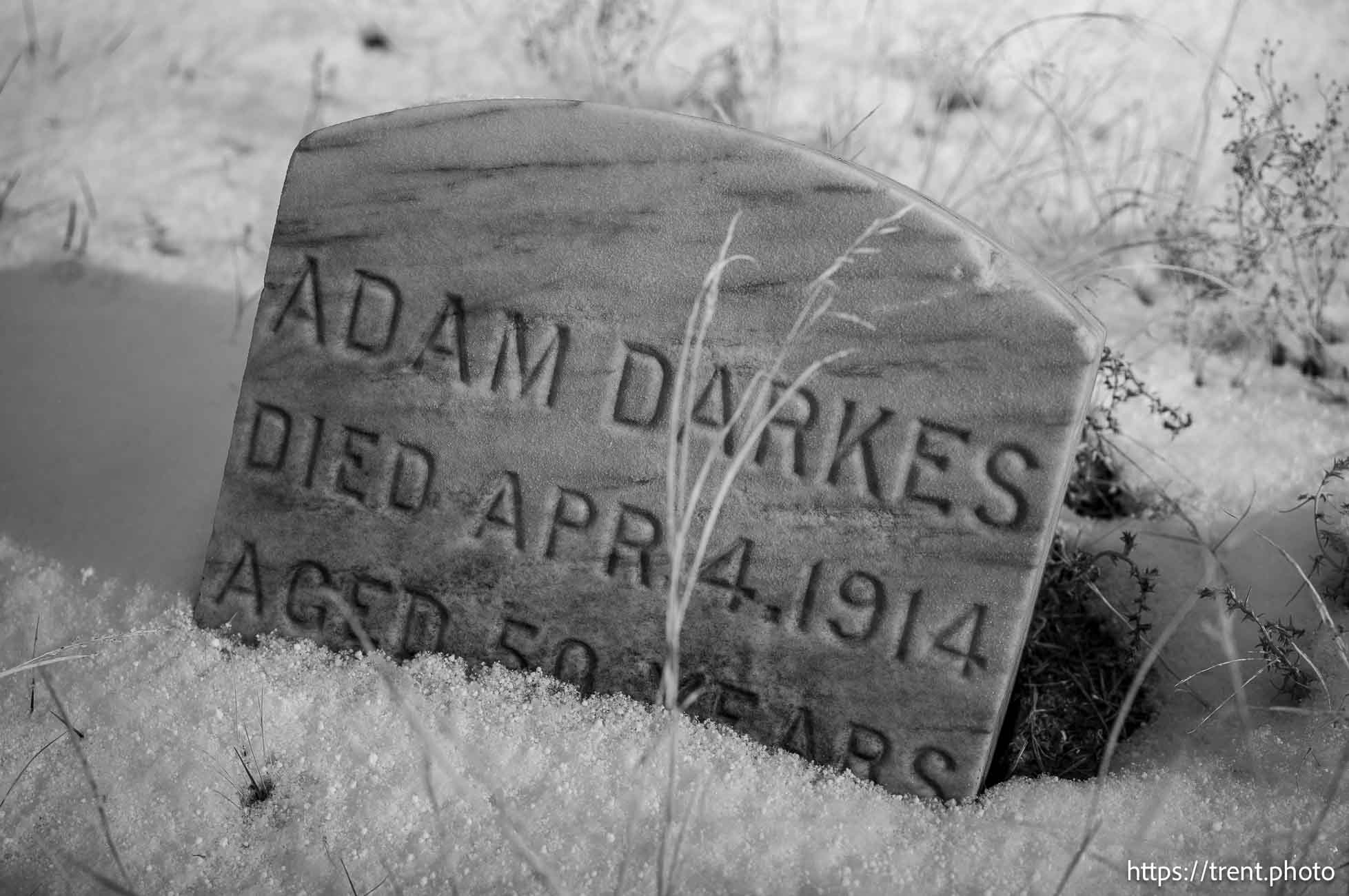 Adam Darkes, Stockton cemetery on Sunday, Jan. 12, 2025.