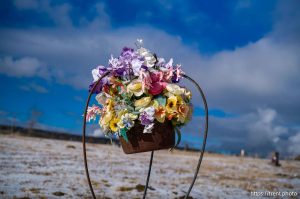 Stockton cemetery on Sunday, Jan. 12, 2025.