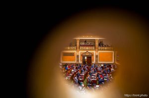 (Trent Nelson  |  The Salt Lake Tribune) 
at the Utah Capitol in Salt Lake City on Tuesday, Jan. 21, 2025.