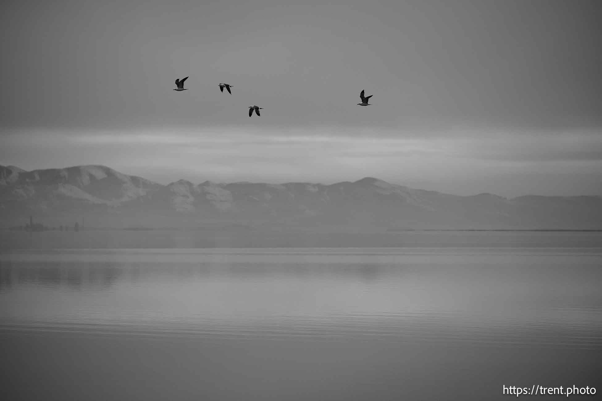 Stansbury Island