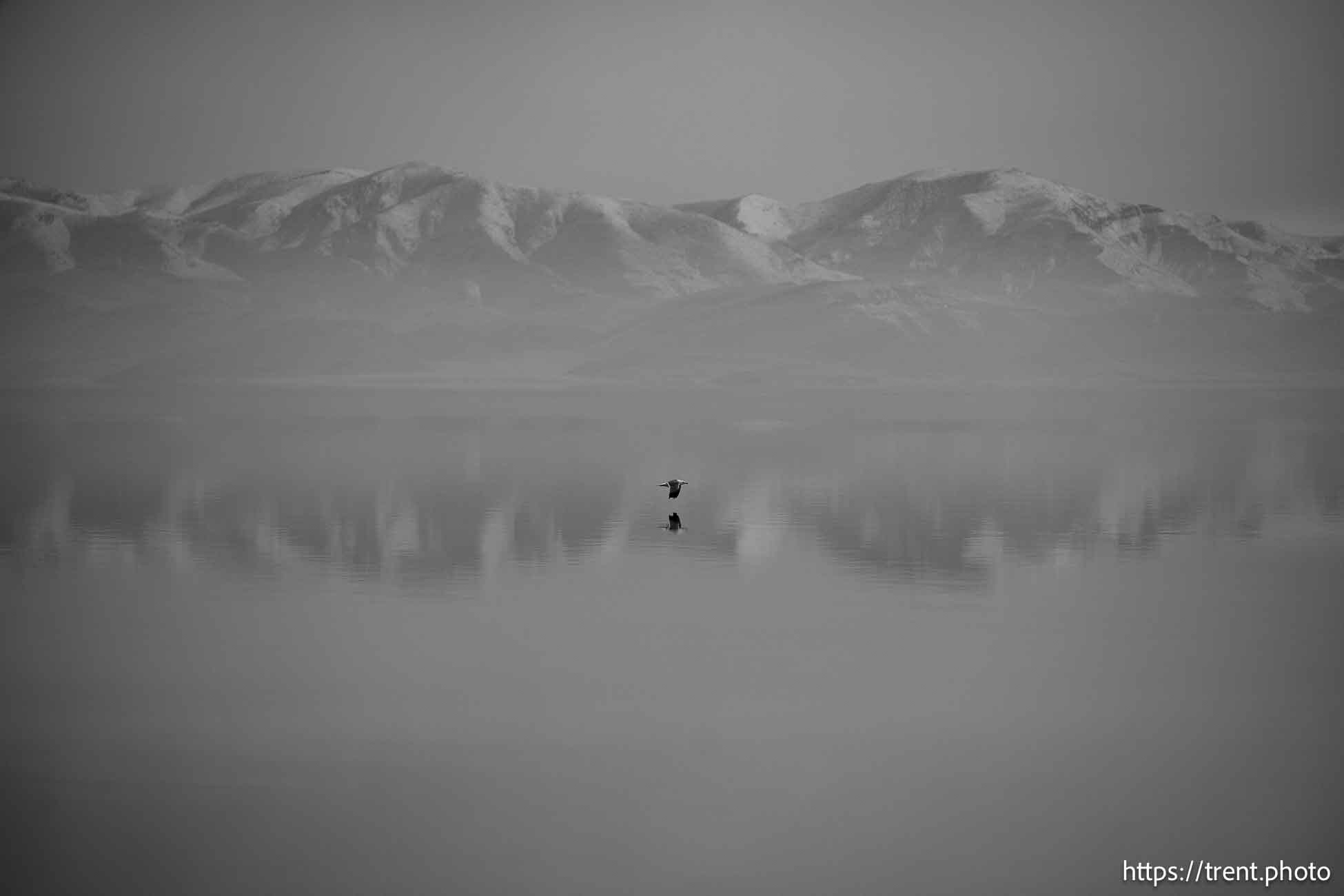 Stansbury Island
