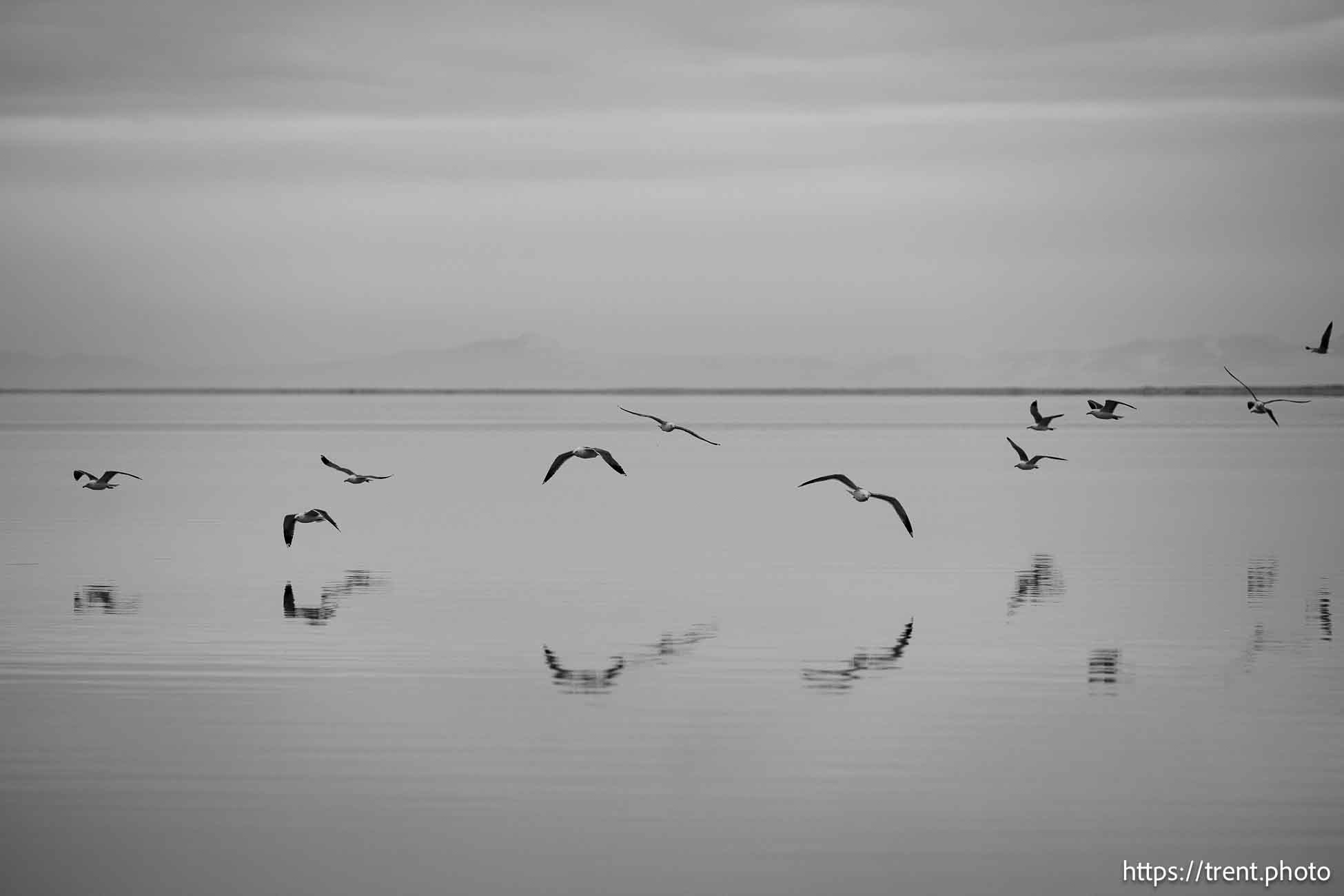 Stansbury Island