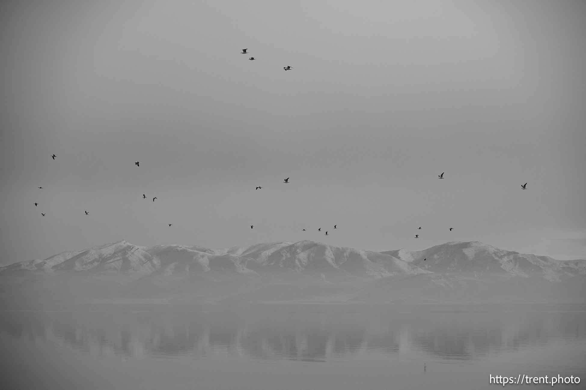 Stansbury Island