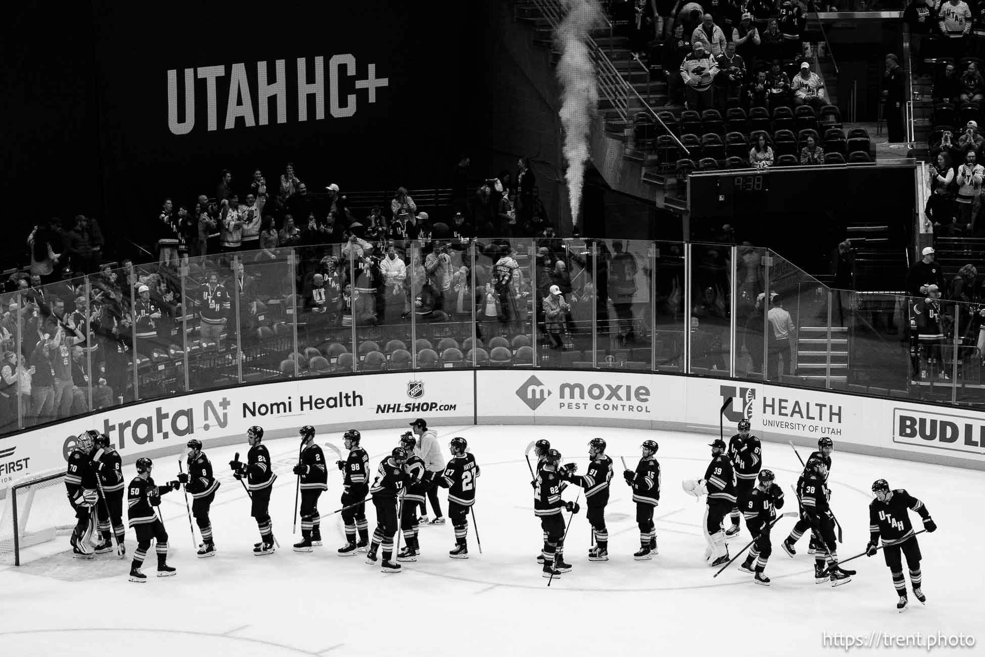 Minnesota Wild