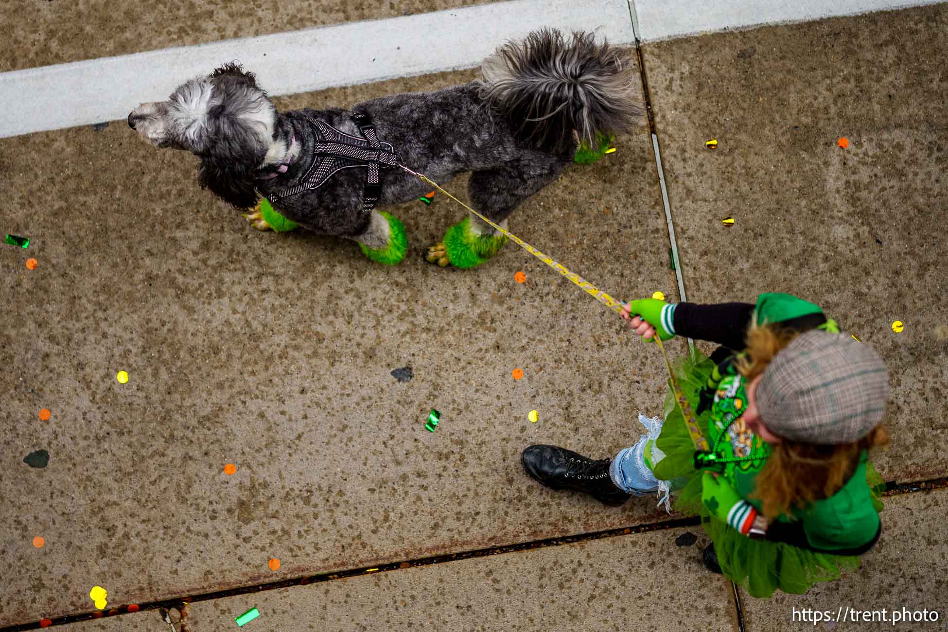 Saint Patrick's Day
