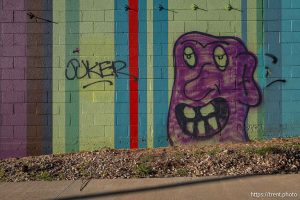 S Line graffiti, joker, on Tuesday, March 25, 2025.