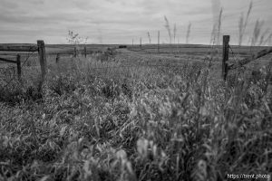 the jensen land on Sunday, March 30, 2025.