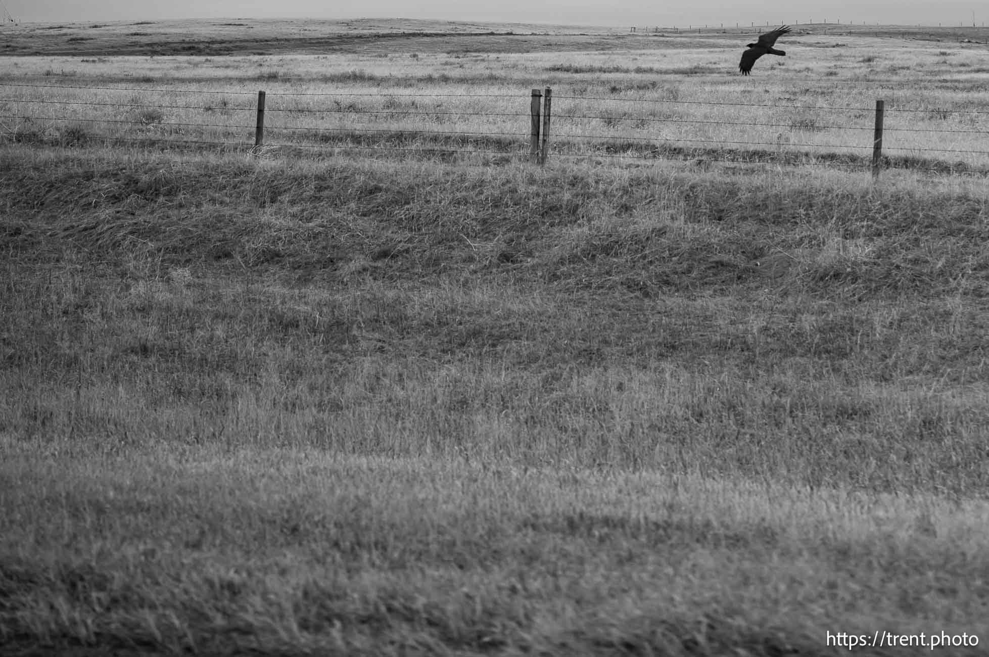 Alberta