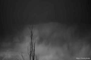 rain clouds, tree, Short Creek trip, on Saturday, May 3, 2025.