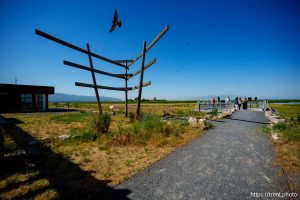 (Trent Nelson  |  The Salt Lake Tribune) The unveiling of a new viewing platform and Hasenyager Trail at Eccles Wildlife Education Center in Farmington on Friday, June 13, 2025.