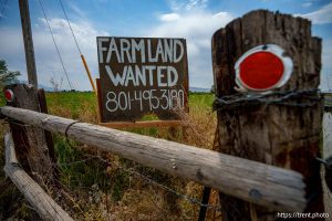 (Trent Nelson  |  The Salt Lake Tribune) Farmland wanted sign. Agricultural land in Spanish Fork on Tuesday, July 15, 2025.