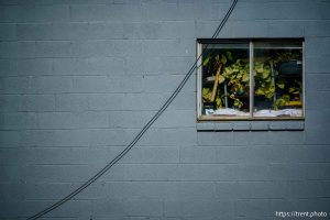 window, Tuesday June 10, 2025.