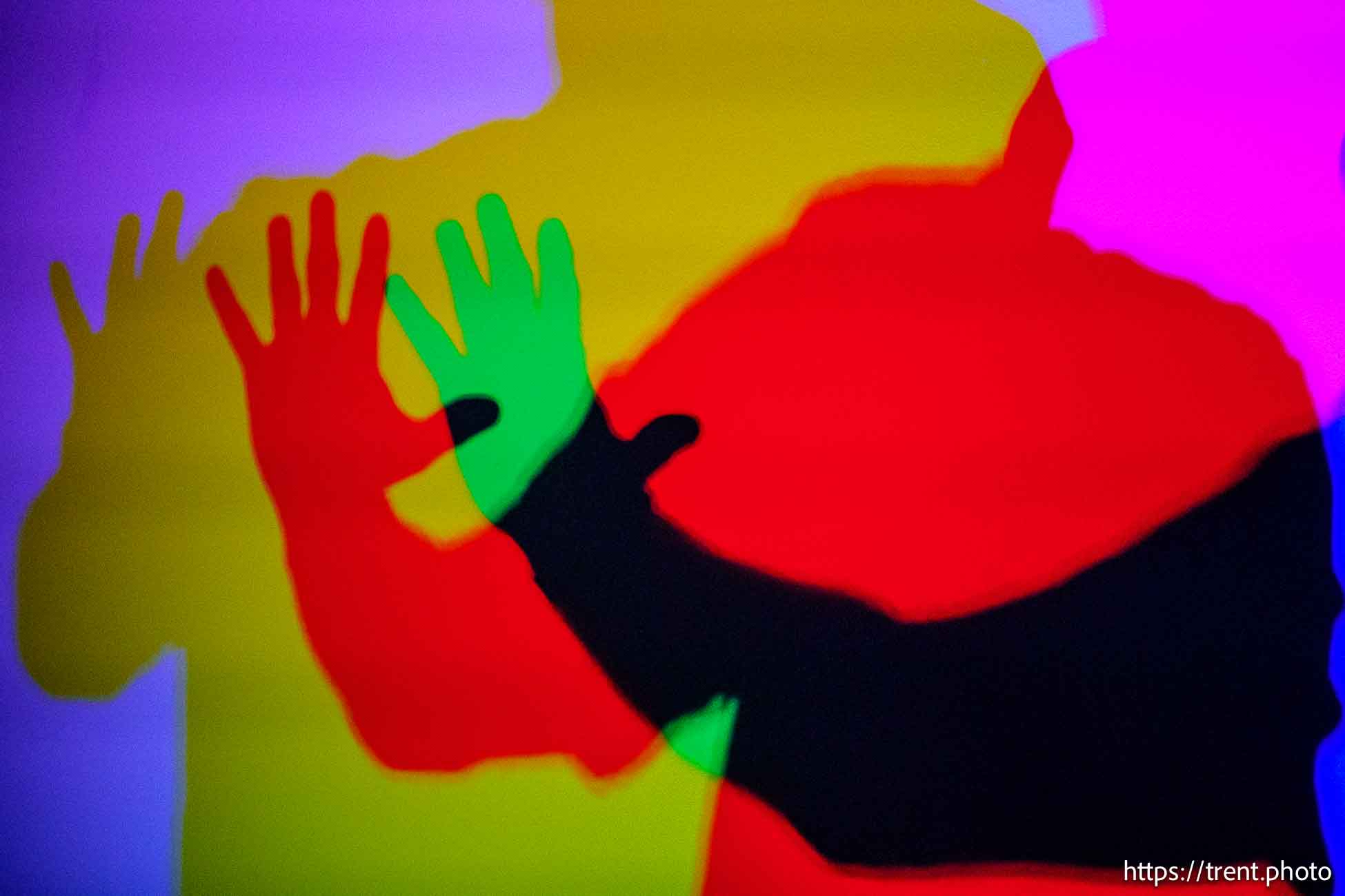 Museum of Illusions