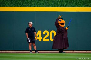 (Trent Nelson  |  The Salt Lake Tribune) Star Wars Night. Salt Lake Bees vs the Las Vegas Aviators, baseball in South Jordan on Saturday, Aug. 9, 2025.