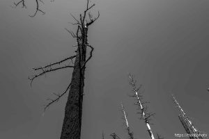 Sword Lake on Saturday, Aug. 30, 2025.