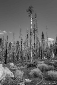 Sword Lake on Saturday, Aug. 30, 2025.