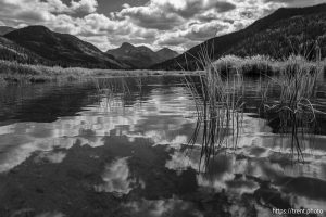 Christmas Meadows. Uintas, on Sunday, Sept. 14, 2025.