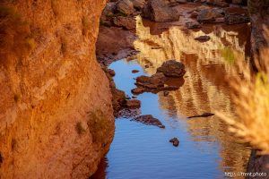 (Trent Nelson  |  The Salt Lake Tribune) The Virgin River on Tuesday September 16, 2025.