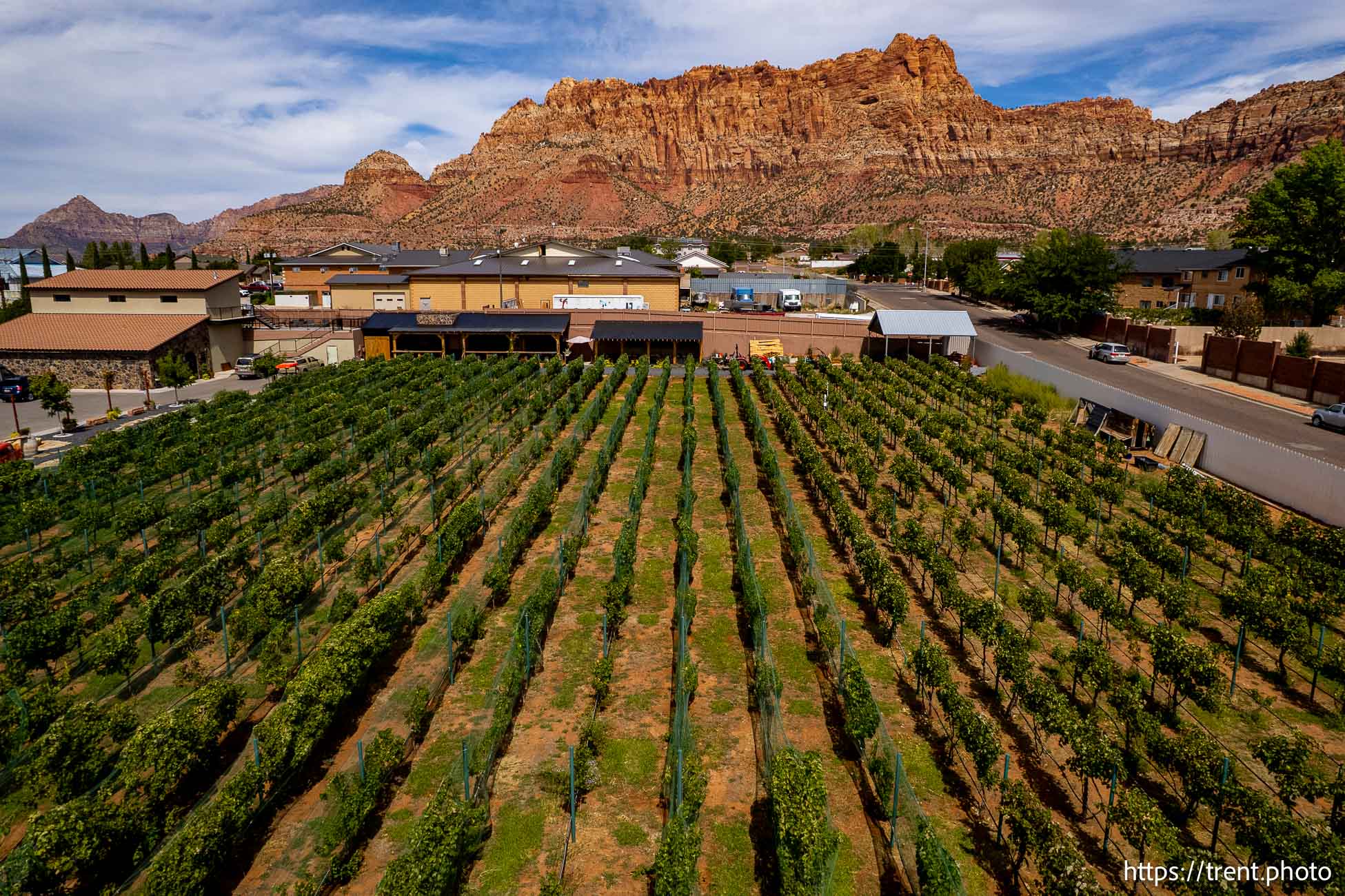 Water Canyon Winery