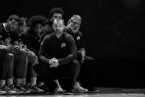 (Trent Nelson  |  The Salt Lake Tribune) Utah Utes head coach Alex Jensen as Utah hosts Weber State, NCAA basketball in Salt Lake City on Saturday, Nov. 8, 2025.