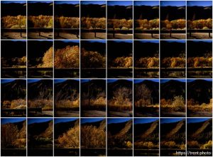 on Sunday, Oct. 19, 2025.