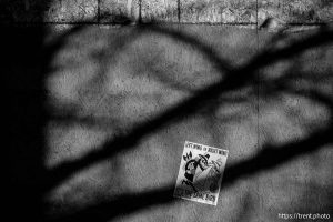 left wing or right wing it's the same bird,  abracadabra, flier in Salt Lake City on Tuesday, Dec. 30, 2025.