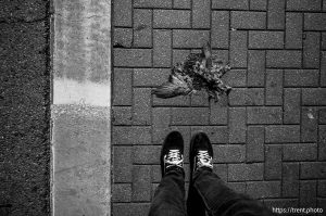 trent feet, dead pigeon, walk around downtown, in Salt Lake City on Monday, Dec. 29, 2025.