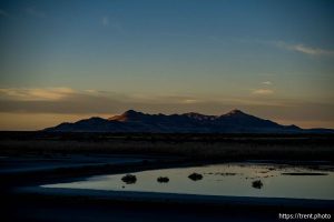 (Trent Nelson  |  The Salt Lake Tribune) The Great Salt Lake on Tuesday, Jan. 6, 2026. Antelope Island in the distance.