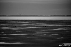 (Trent Nelson  |  The Salt Lake Tribune) The Great Salt Lake on Tuesday, Jan. 6, 2026.